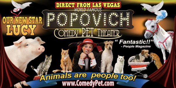 Popovich Comedy Pet Theater - The Luke Theatre